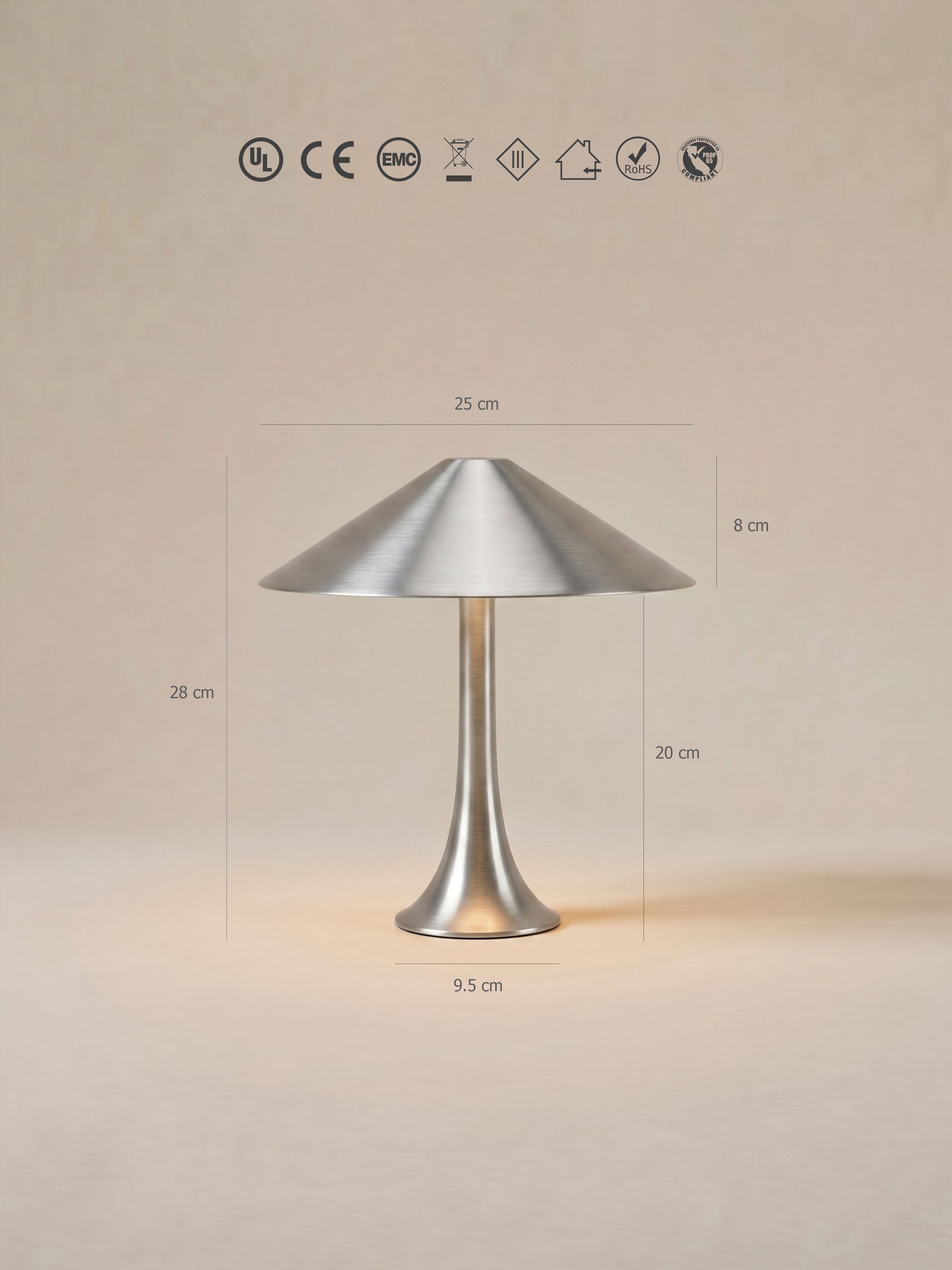 Nova Große Tragbare Lampe | Edelstahl