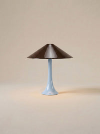 Nova Large Portable Lamp | Aqua Base & Brown Shade