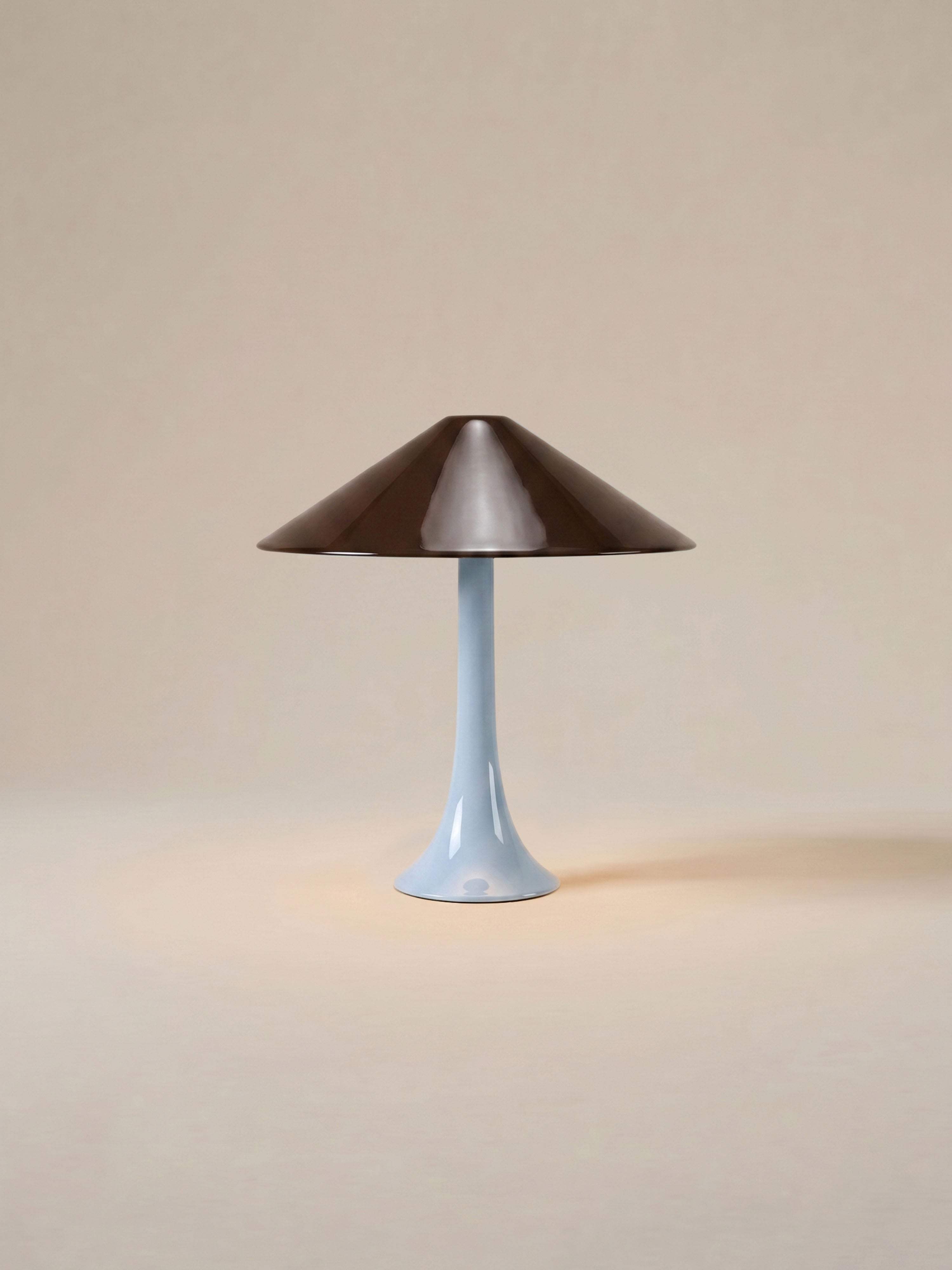 Nova Large Portable Lamp | Aqua Base & Brown Shade