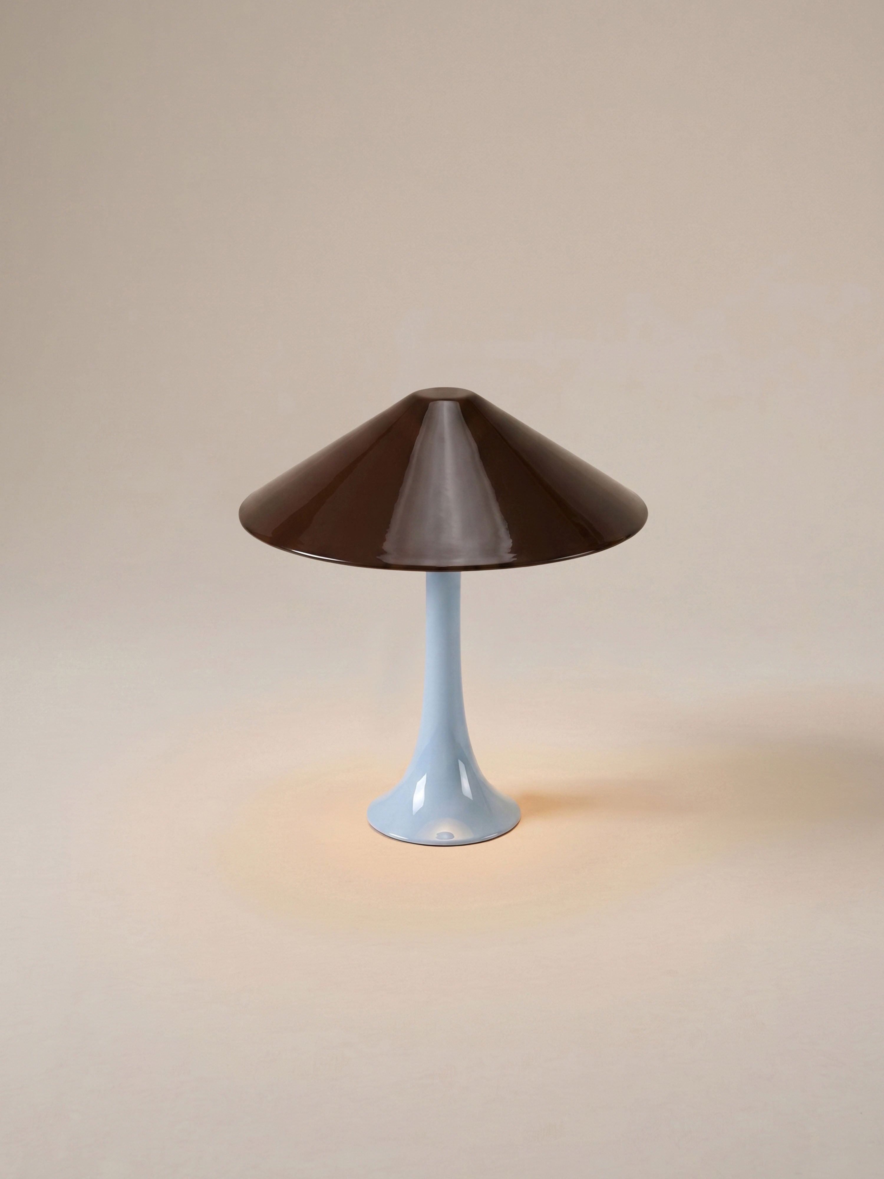 Nova Large Portable Lamp | Aqua Base & Brown Shade